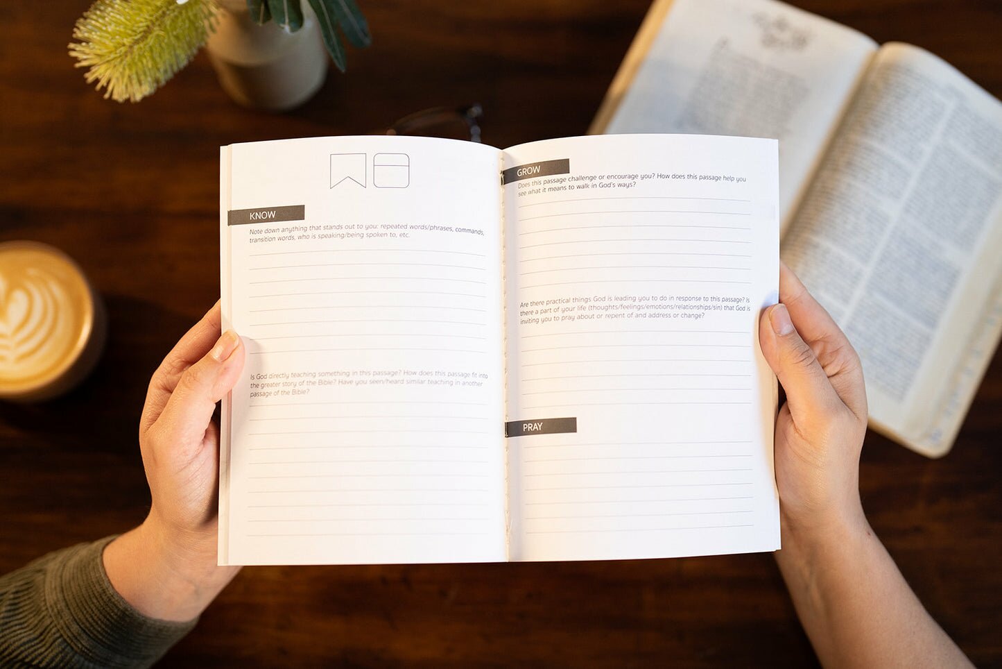 Romans - Bible Study Journal